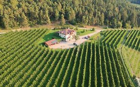 Agriturismo Maso Tafol